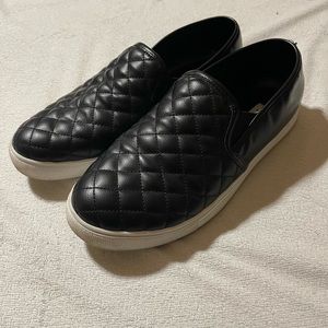 Steve Madden Ecentrcq